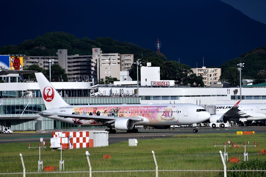JAL 980