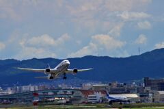 ANA 375