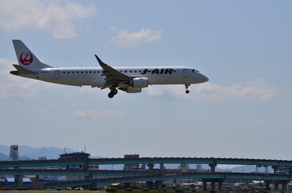 JAL 116
