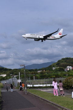 JAL 593