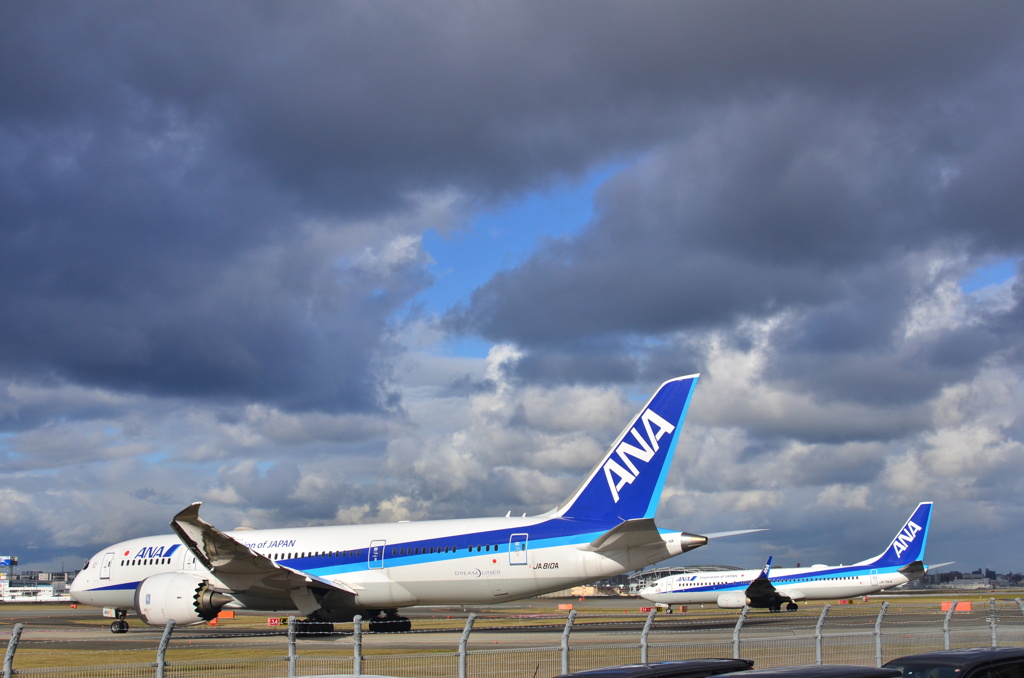 ANA 397