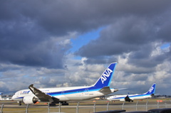 ANA 397