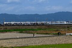 らんだむ。らんだむ。ラン！ラン！ラン！その百四十一「 佐賀バルーン駅」