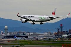 JAL 519