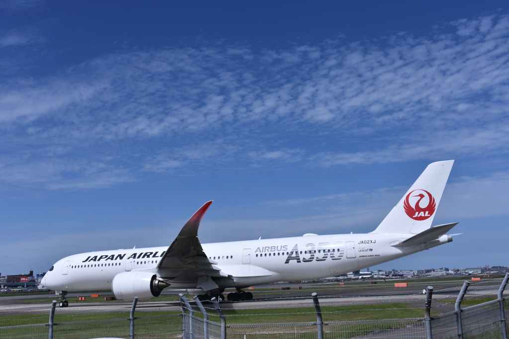 JAL 783    「ワールドカップ２０２２」4
