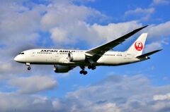 JAL 524