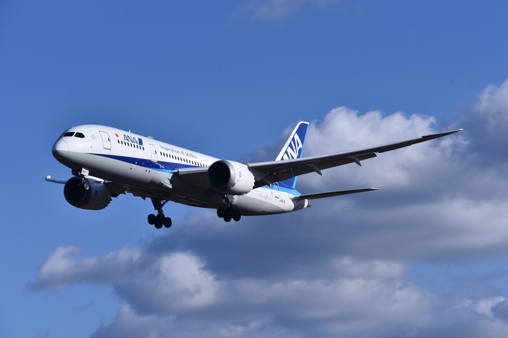 ANA 737