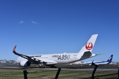 JAL 899