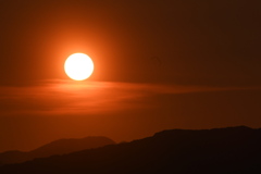 「夕やけニャンニャン」02