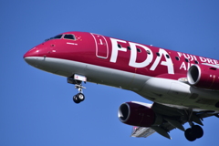 FDA 228