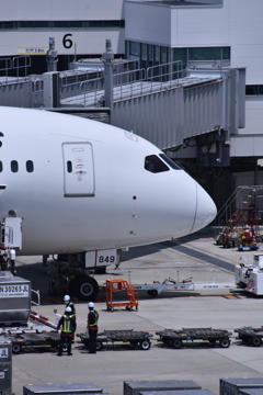 JAL 626