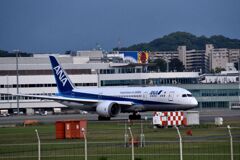 ANA 859