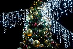 「我が街のツリー」06