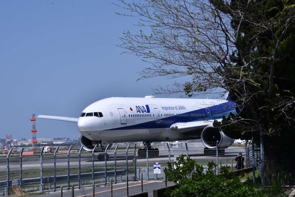ANA 980