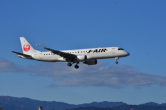 JAL 531