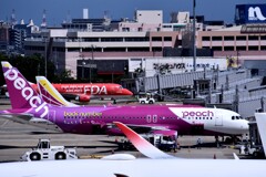 PEA 273