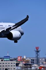 ANA 892
