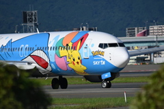 SKY 316