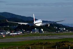 JAL 1362「ソフトバンク日本シリーズ２０２５優勝記念」（＾＾；