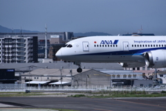 ANA 915