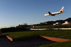 JAL 1221
