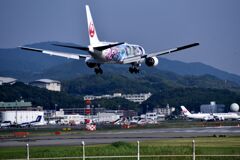 JAL 1021