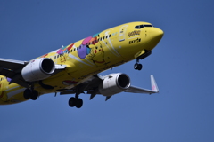 SKY 290「ピカチュウジェト1」