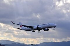 JAL 427