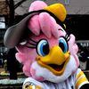「１０年前のホークスキャンプ」2