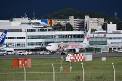 JAL 978