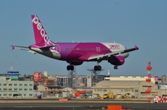 PEA 164