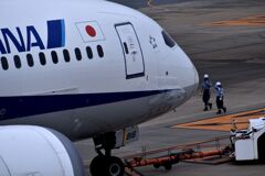 ANA 938