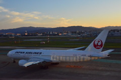 JAL 07