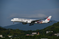 JAL 1309