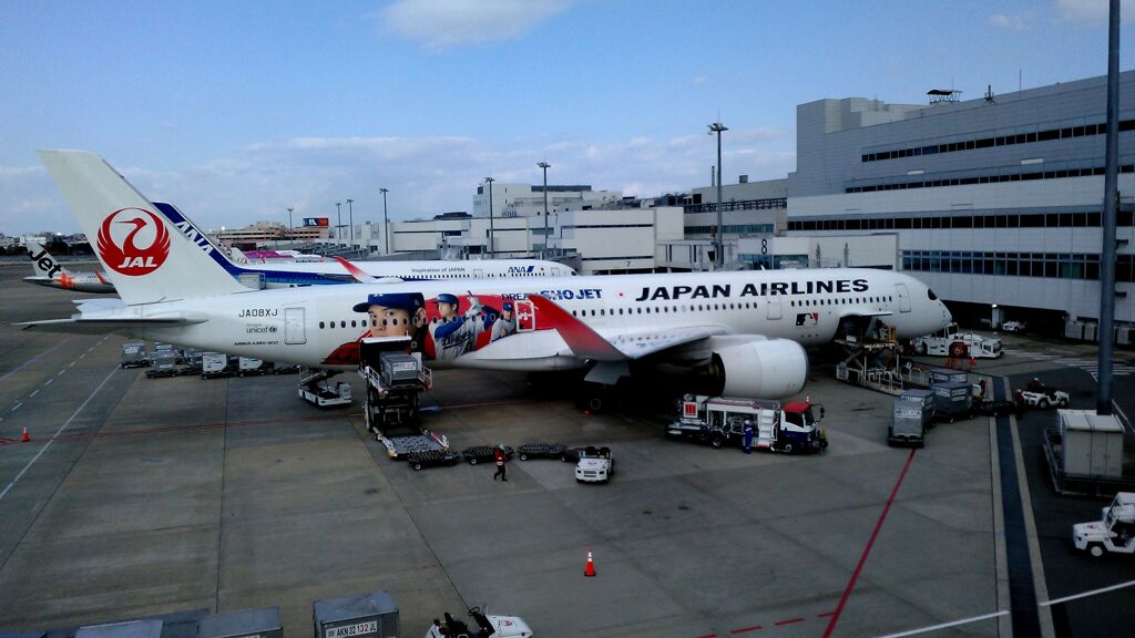 JAL1369