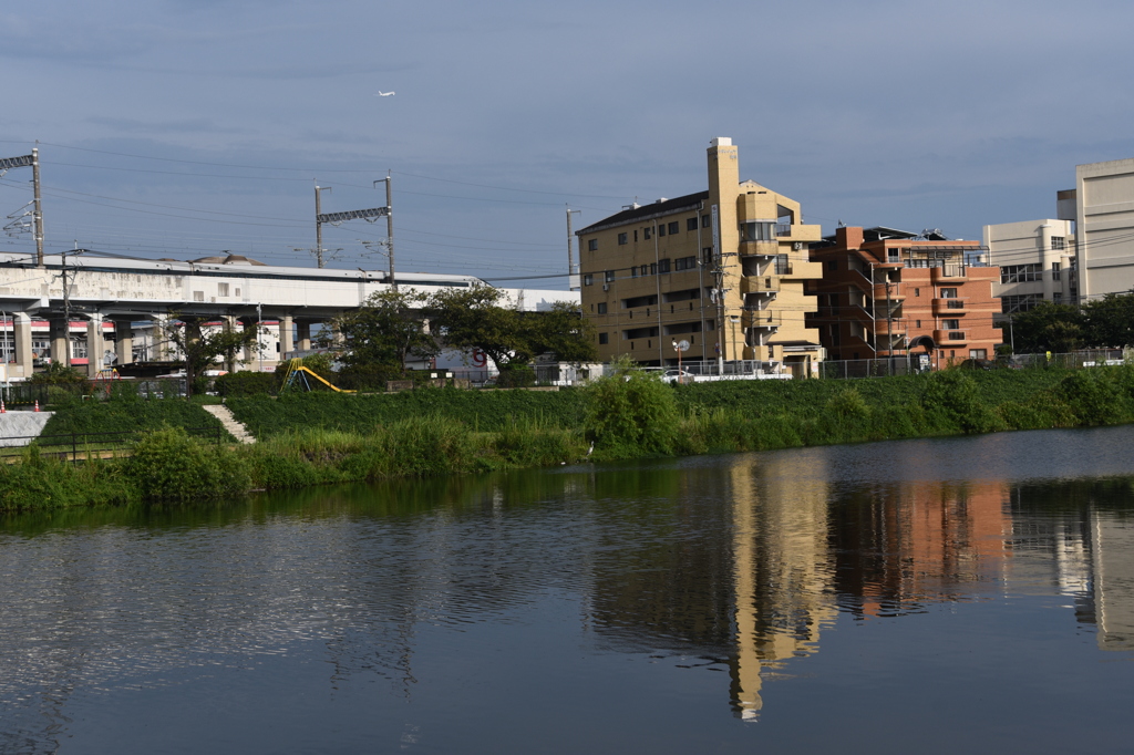 「我が街」03   「悲しき習性」？