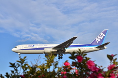 ANA 459