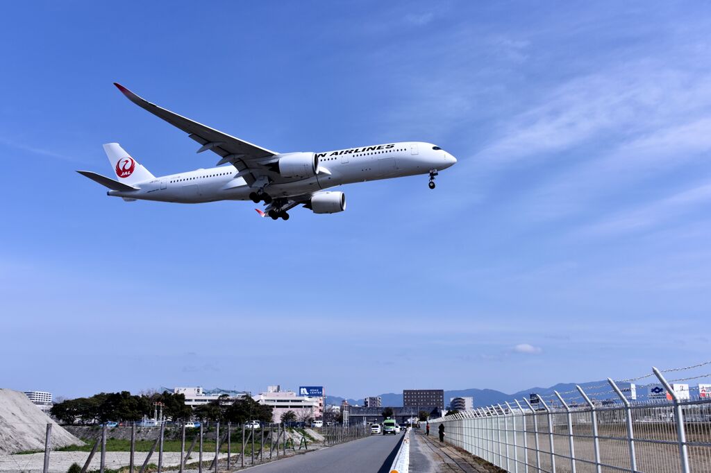 JAL 824