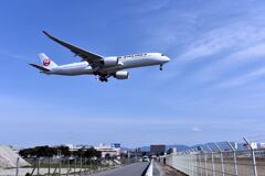 JAL 824