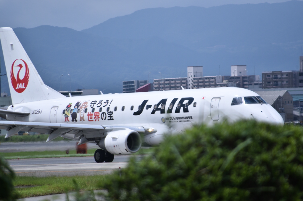 JAL 707 by 7xxxsss （ID：11271856） - 写真共有サイト:PHOTOHITO