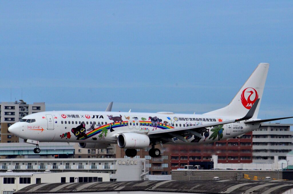 JAL 91