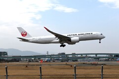 JAL1386