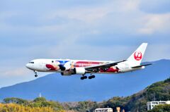JAL 490