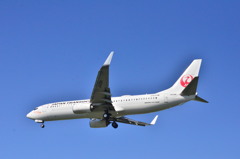 JAL 191