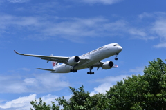 JAL 705