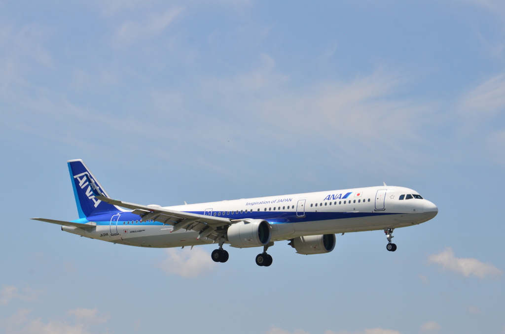 ANA 150
