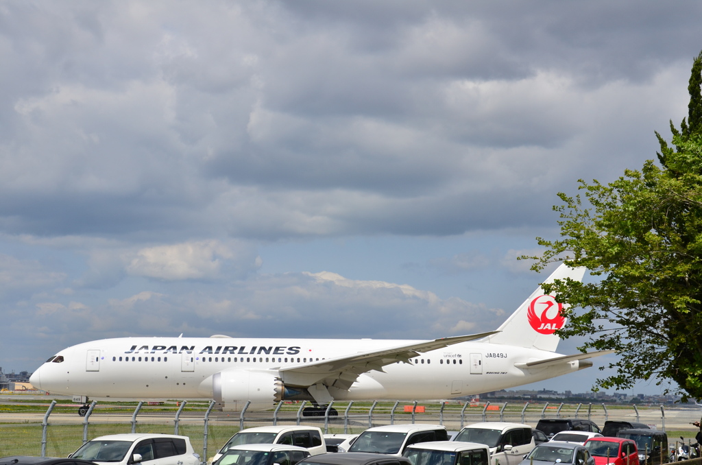 JAL 100