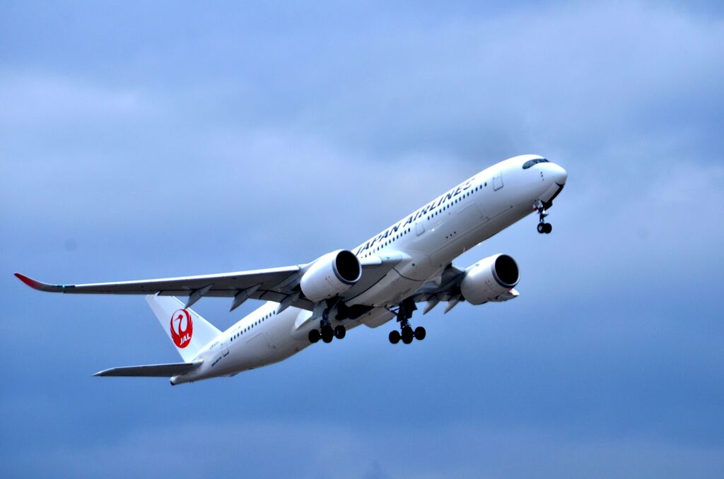 JAL 738