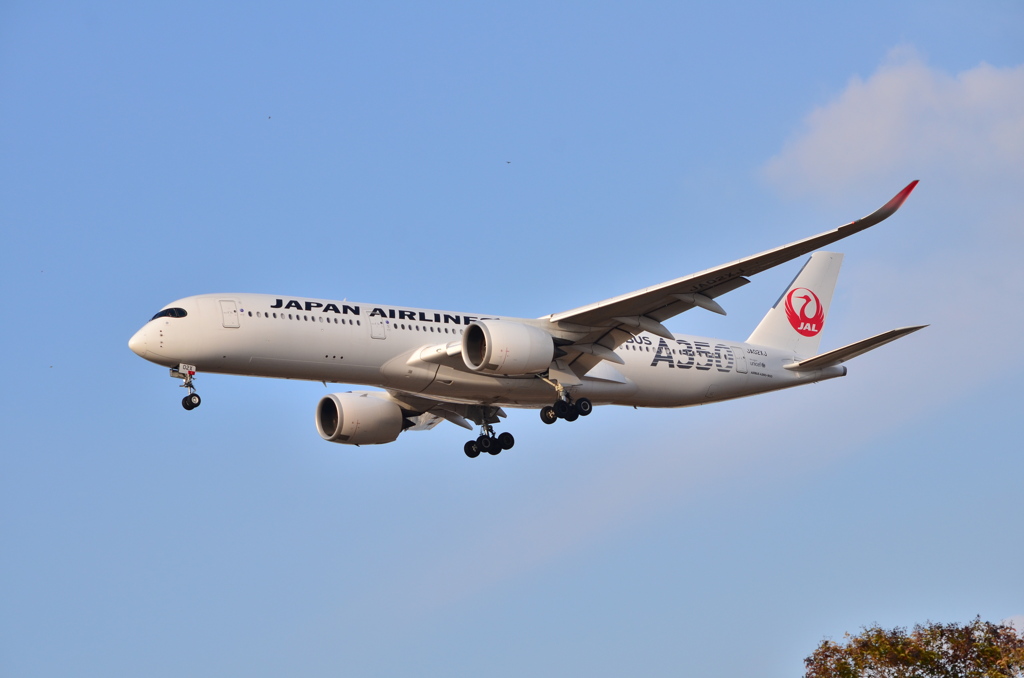 JAL 547