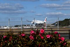 「酒も呑まぬに椿の花は」